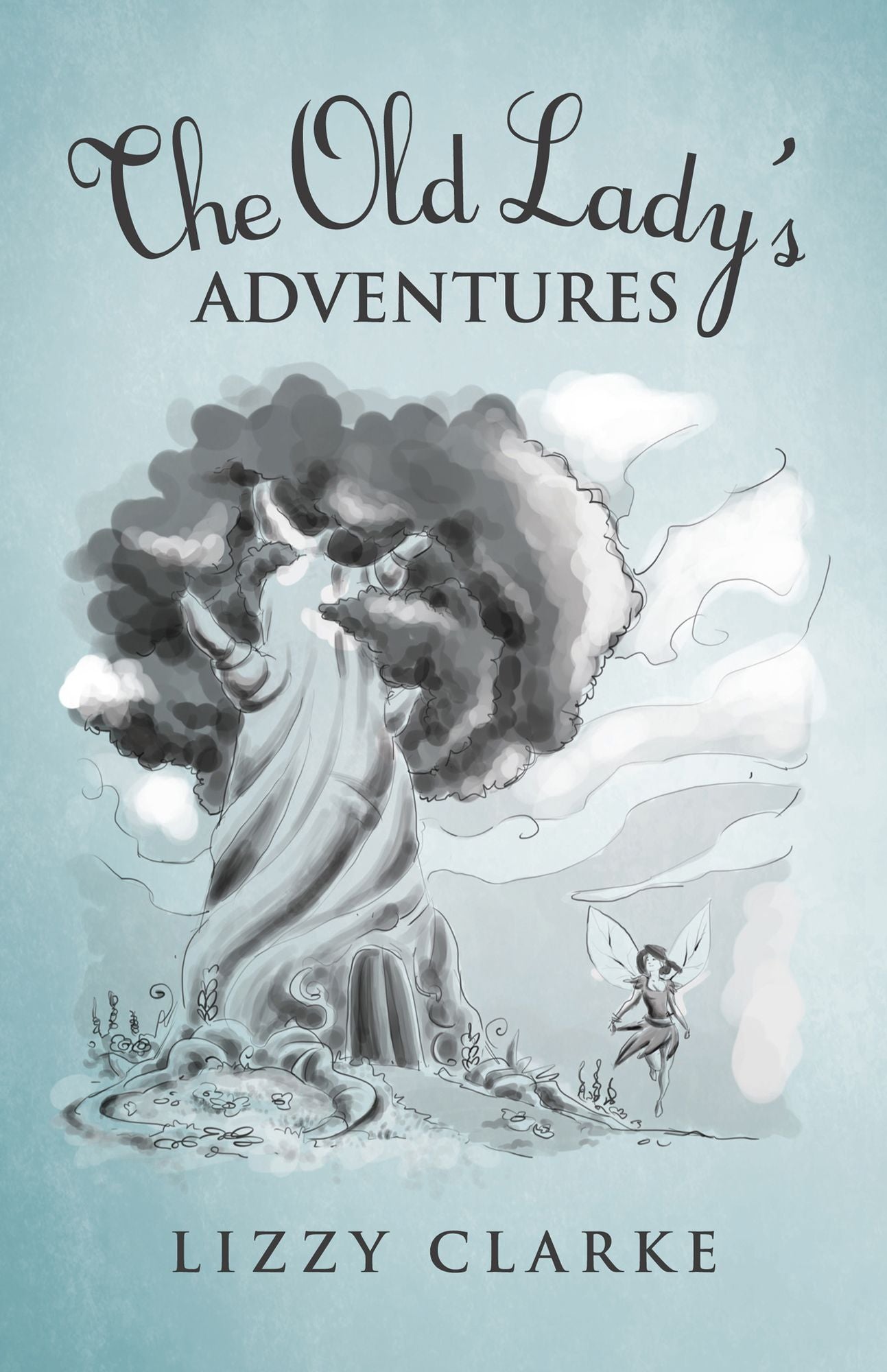 The Old Lady's ADVENTURES