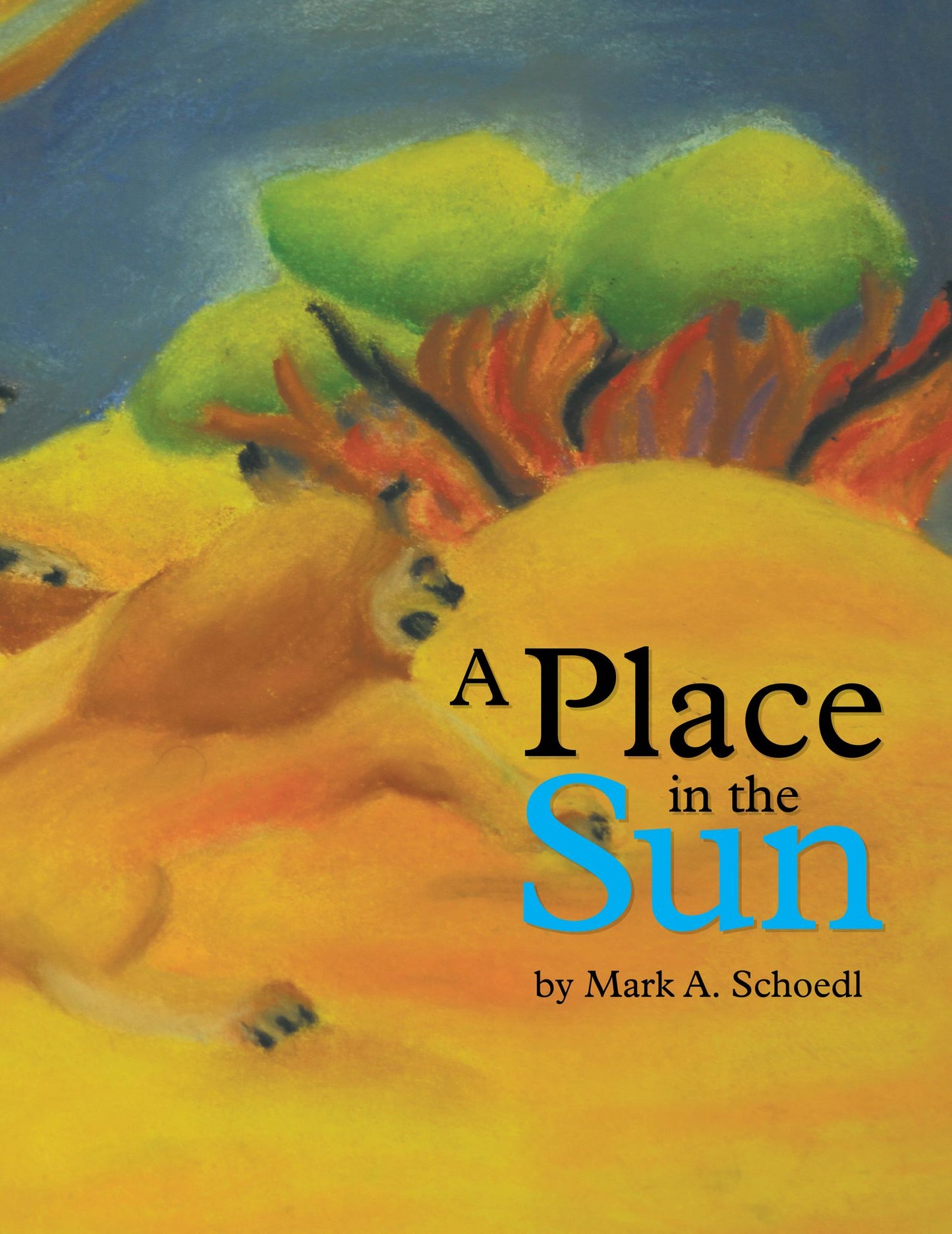 A Place in the Sun (PagePerfect NOOK Book)