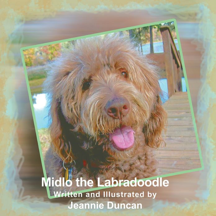 Midlo The Labradoodle
