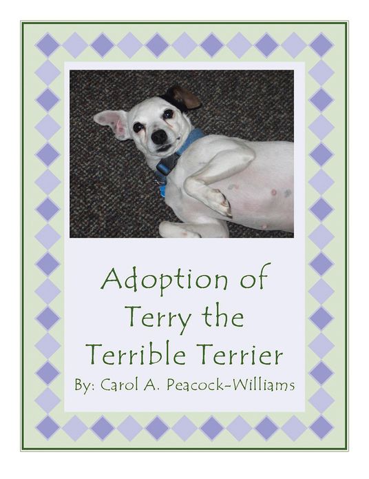 Adoption of Terry the Terrible Terrier