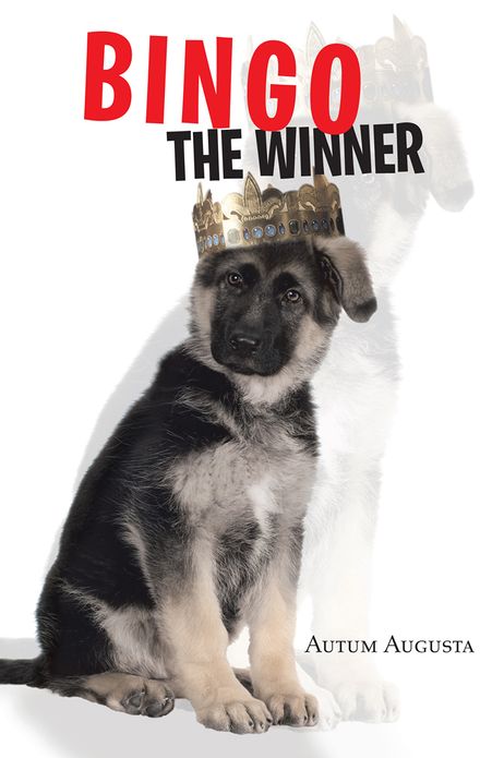 Bingo The Winner