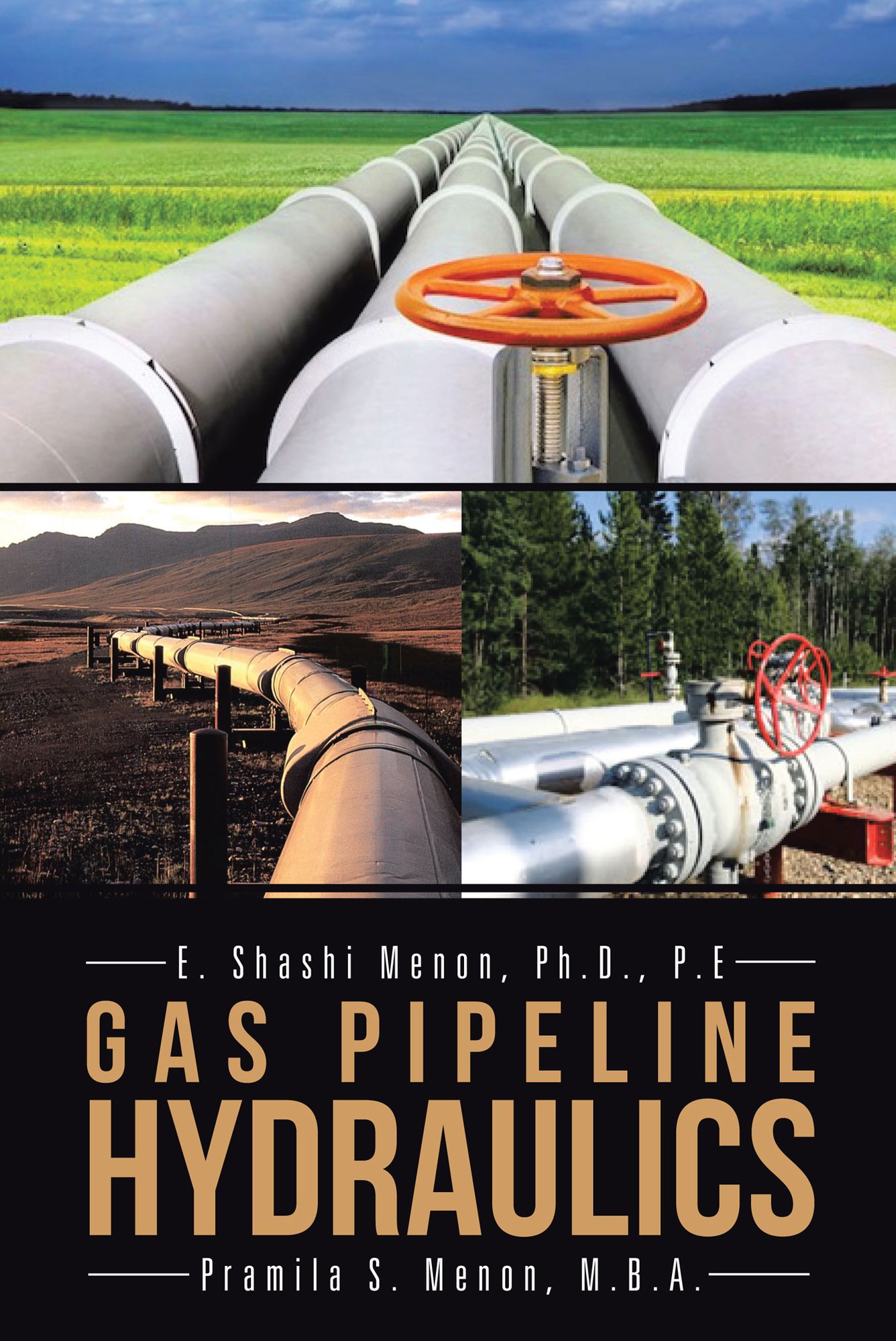 GAS PIPELINE HYDRAULICS