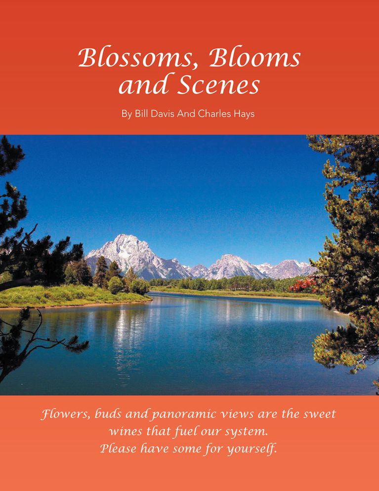 Blossoms, Blooms and Scenes