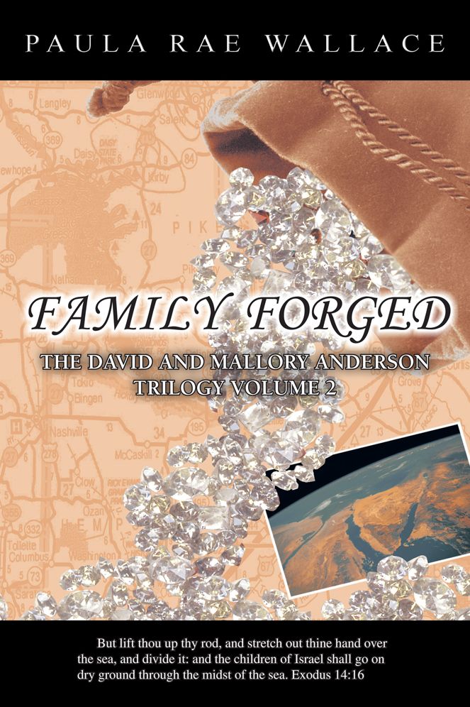 FAMILY FORGED: THE DAVID AND MALLORY ANDERSON TRILOGY VOLUME 2