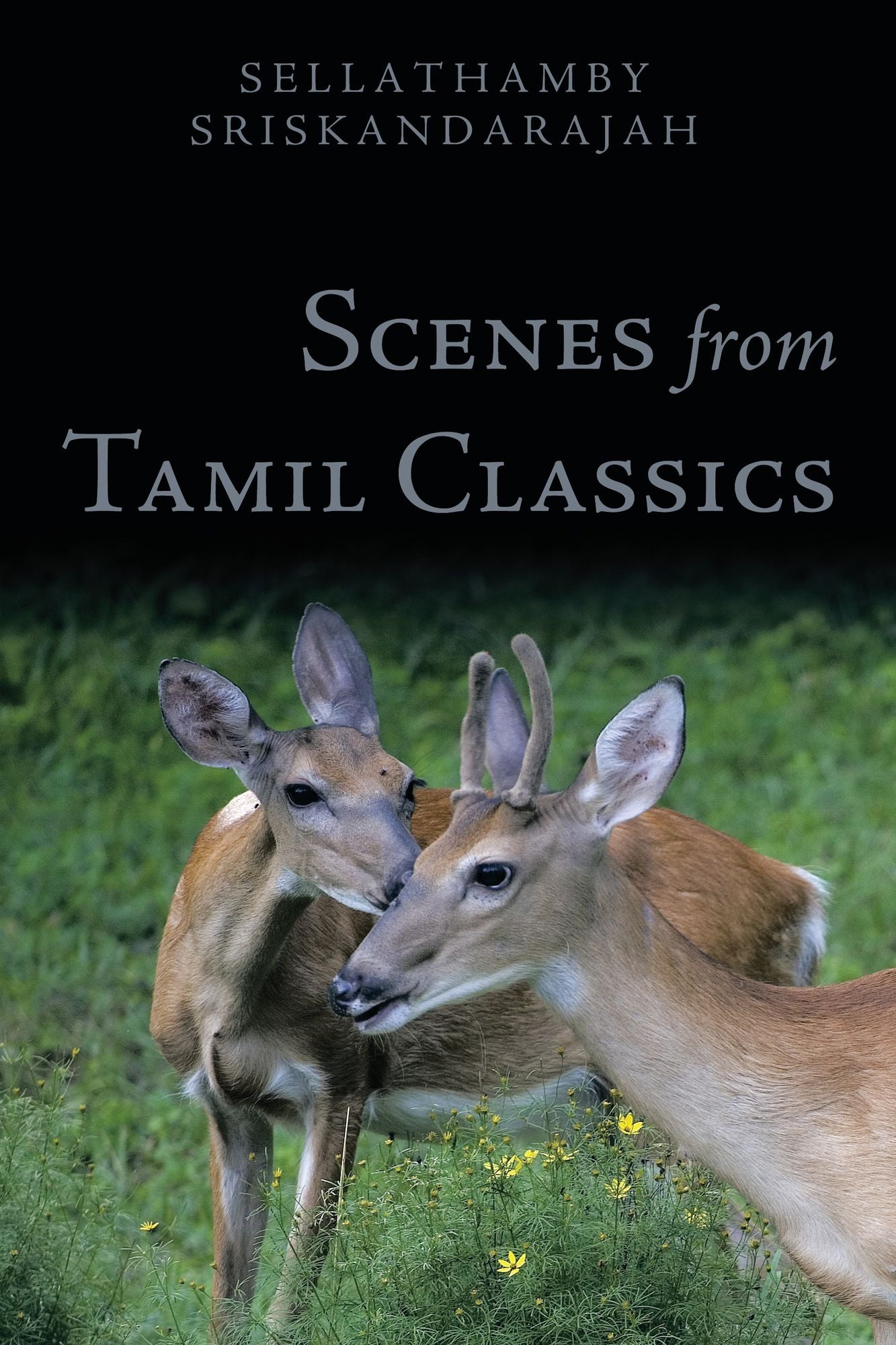 Scenes From Tamil Classics