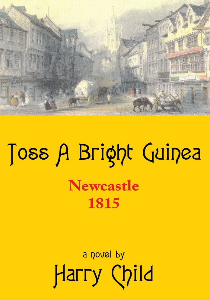 Toss A Bright Guinea