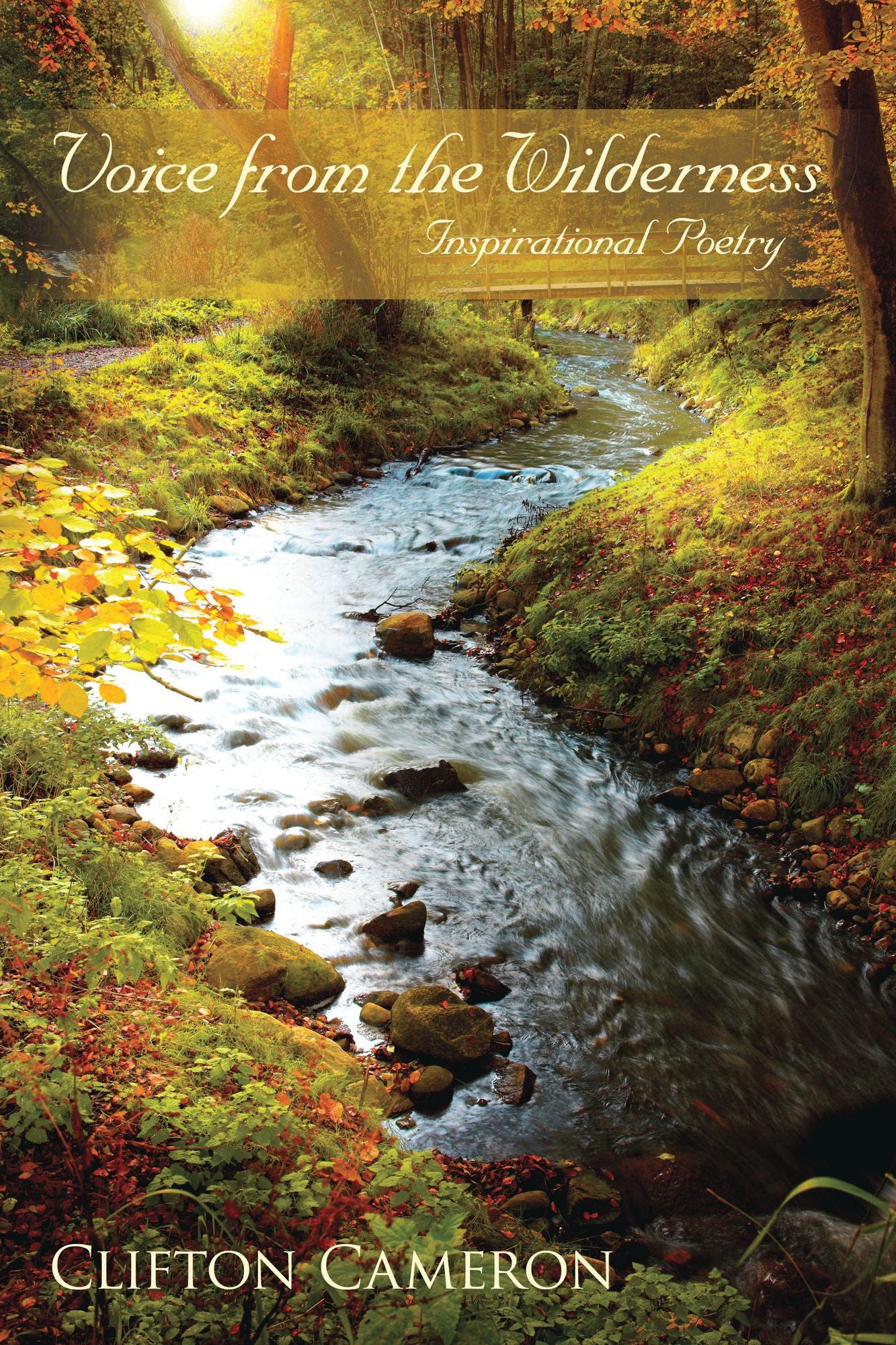 Voice from the Wilderness: Inspirational Poetry
