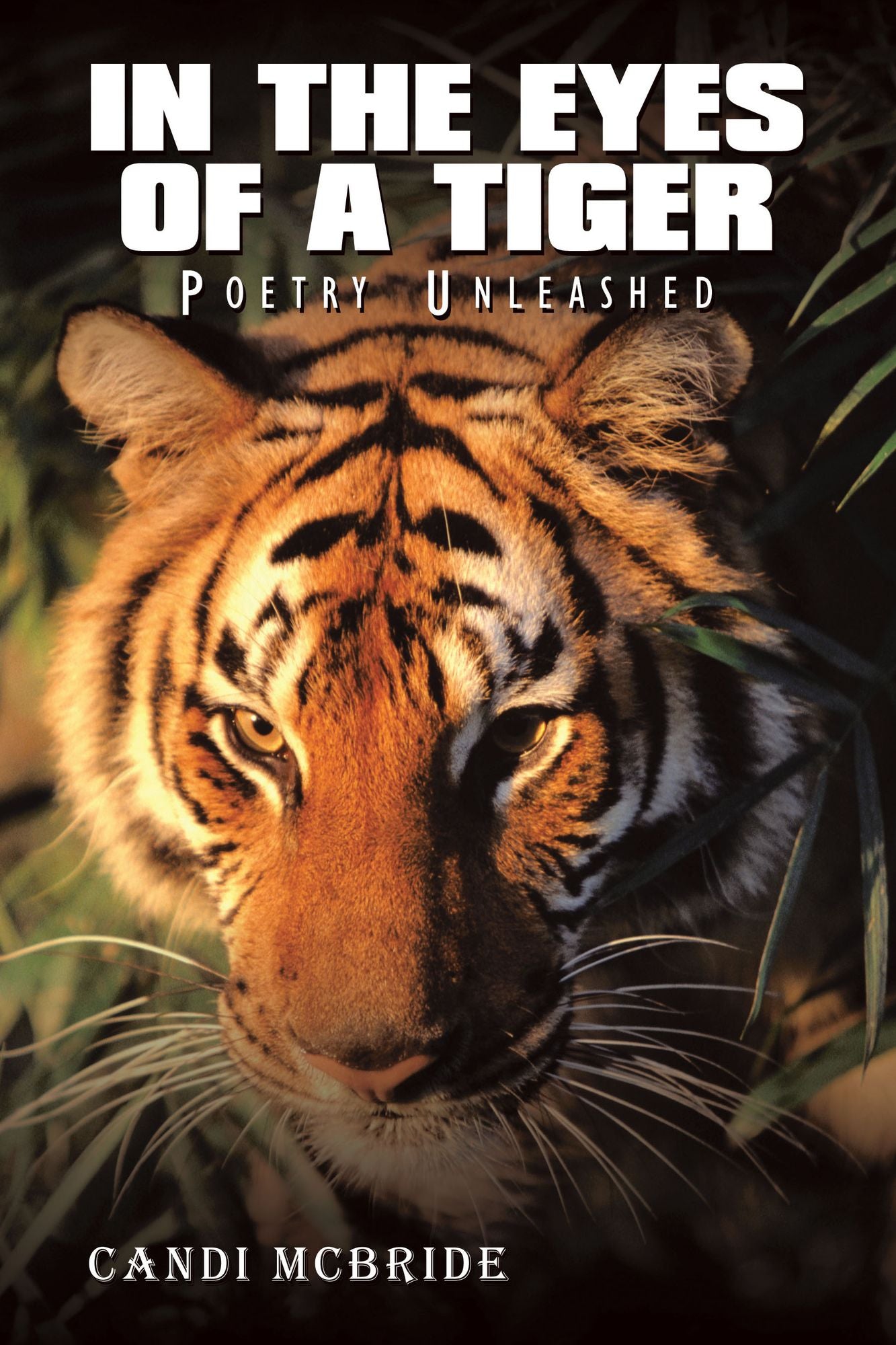 In The Eyes Of A Tiger: Poetry Unleashed