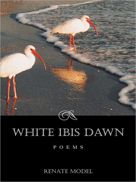 WHITE IBIS DAWN