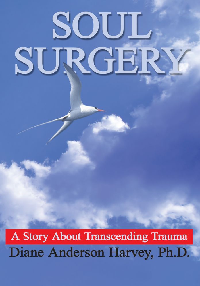 SOUL SURGERY: A Story About Transcending Trauma