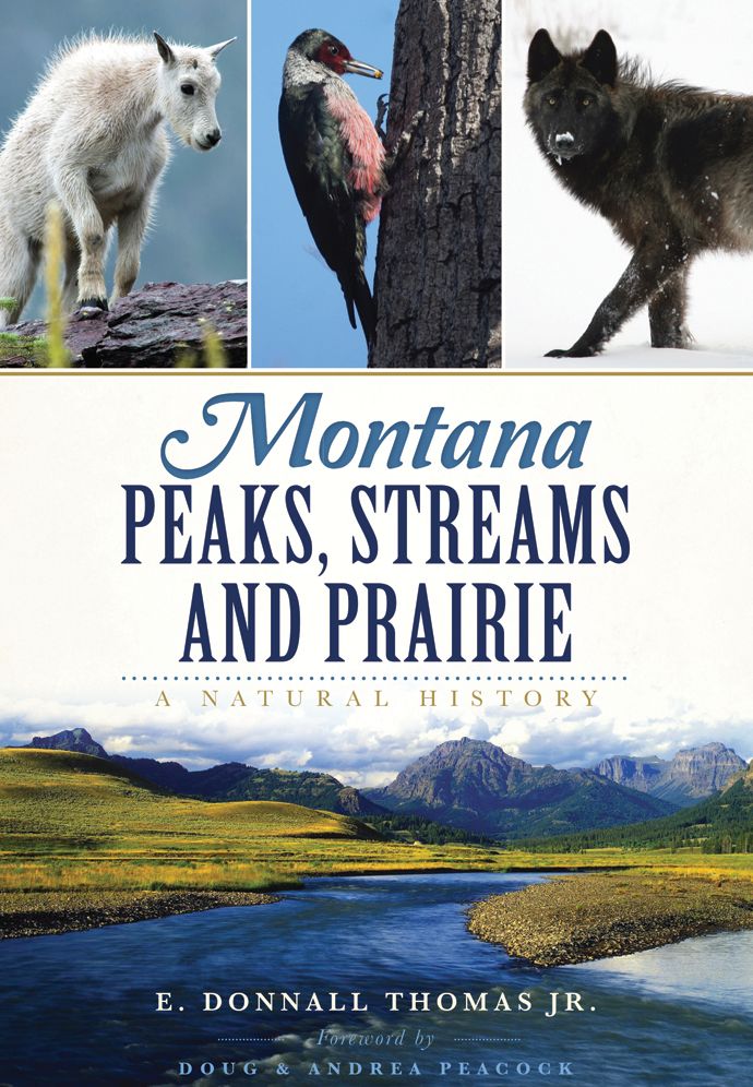 Montana Peaks, Streams & Prairie: A Natural History