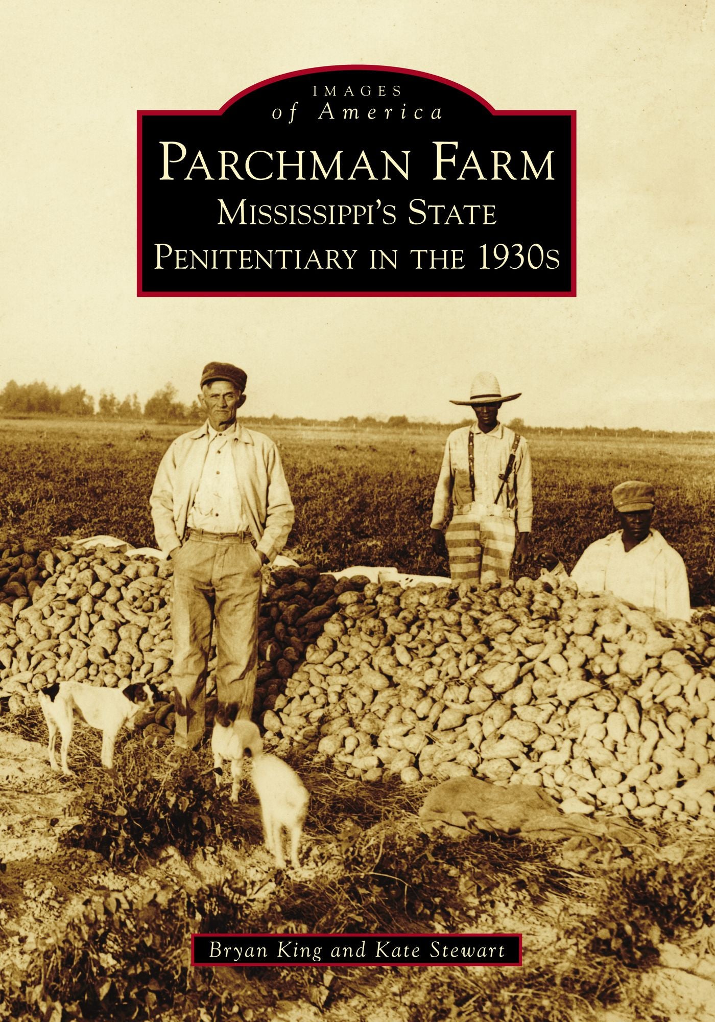 Parchman Farm : Mississippi's State Penitentiary in the 1930s