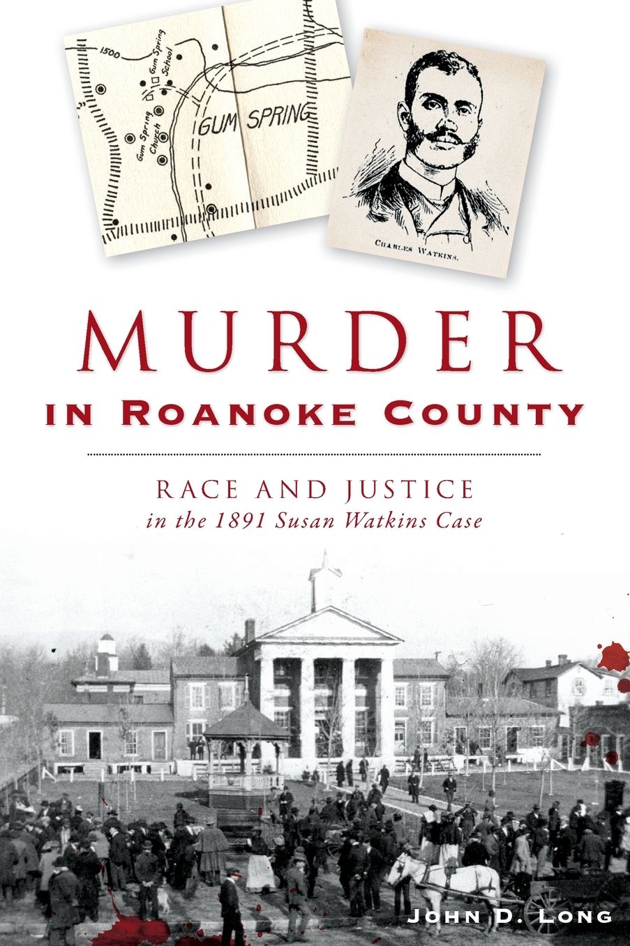 Murder in Roanoke County : Race and Justice in the 1891 Susan Watkins Case