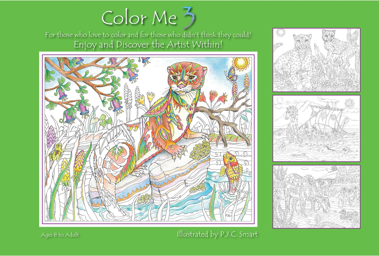 Color Me Your Way 3