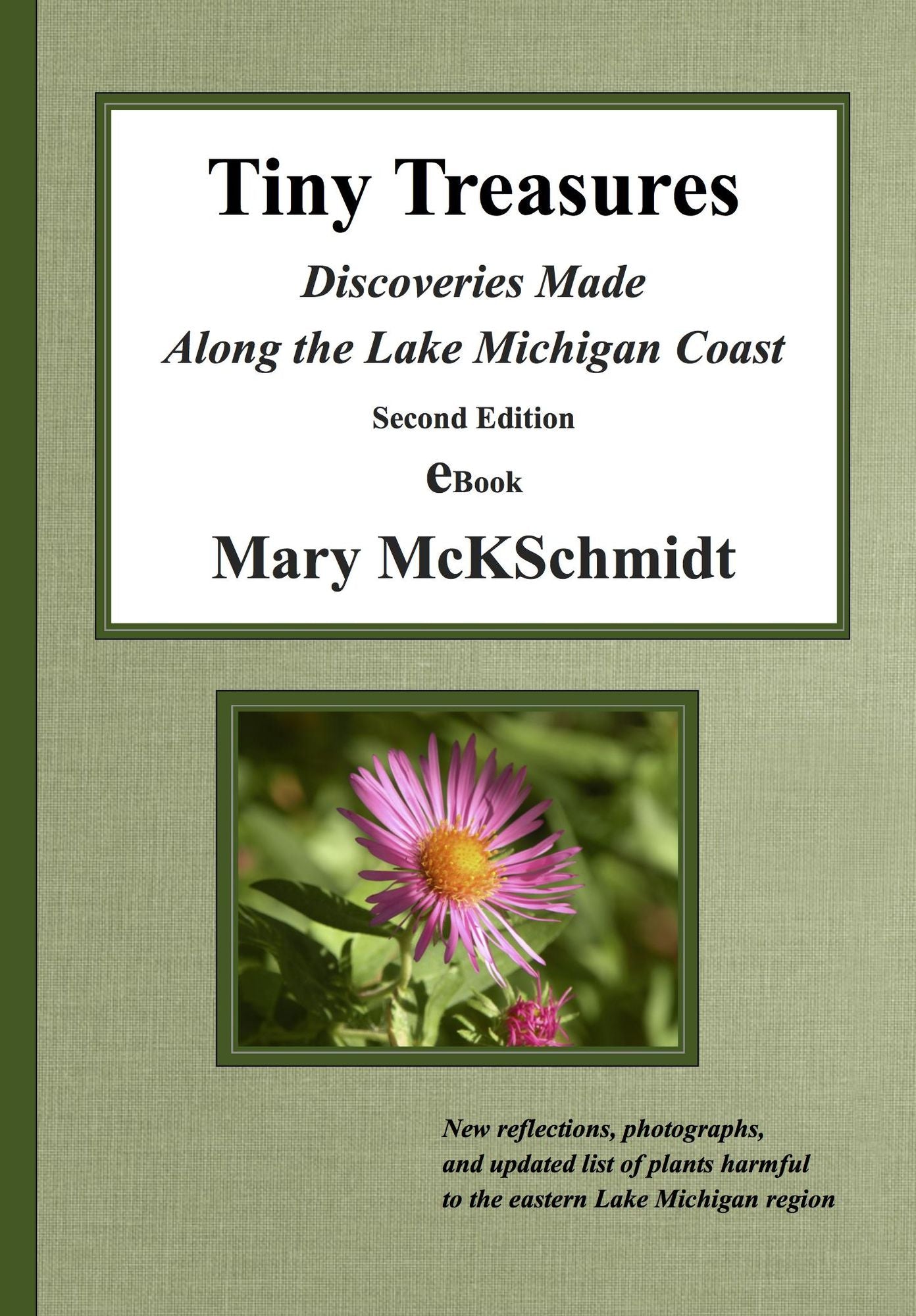 Tiny Treasures: Discoveries Made Along the Lake Michigan Coast, Second Edition