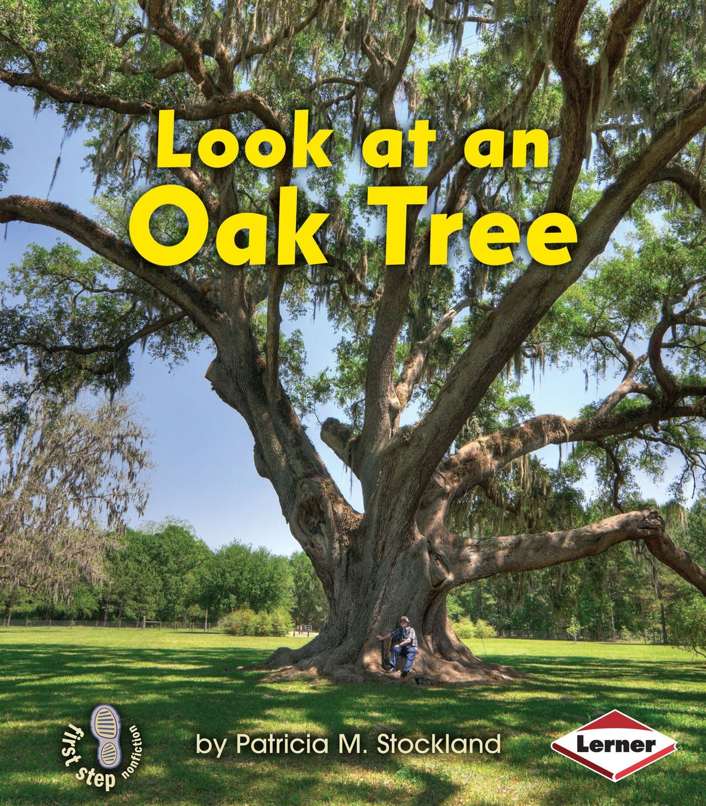 Look at an Oak Tree