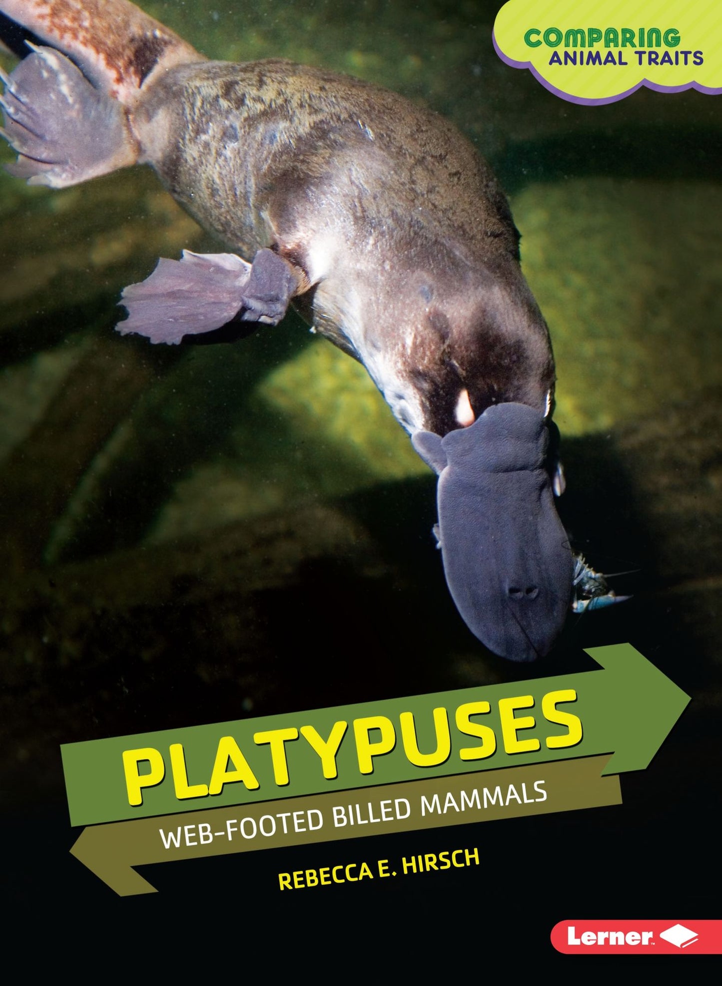 Platypuses: Web-Footed Billed Mammals