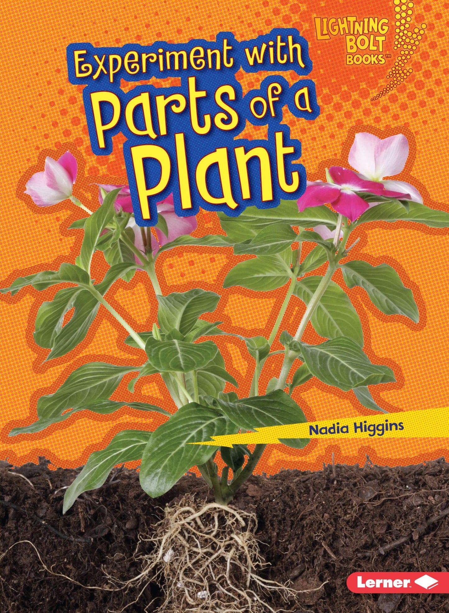 Experiment with Parts of a Plant