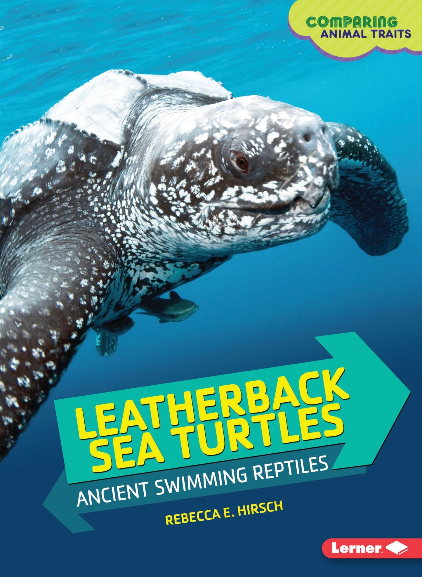 Leatherback Sea Turtles: Ancient Swimming Reptiles