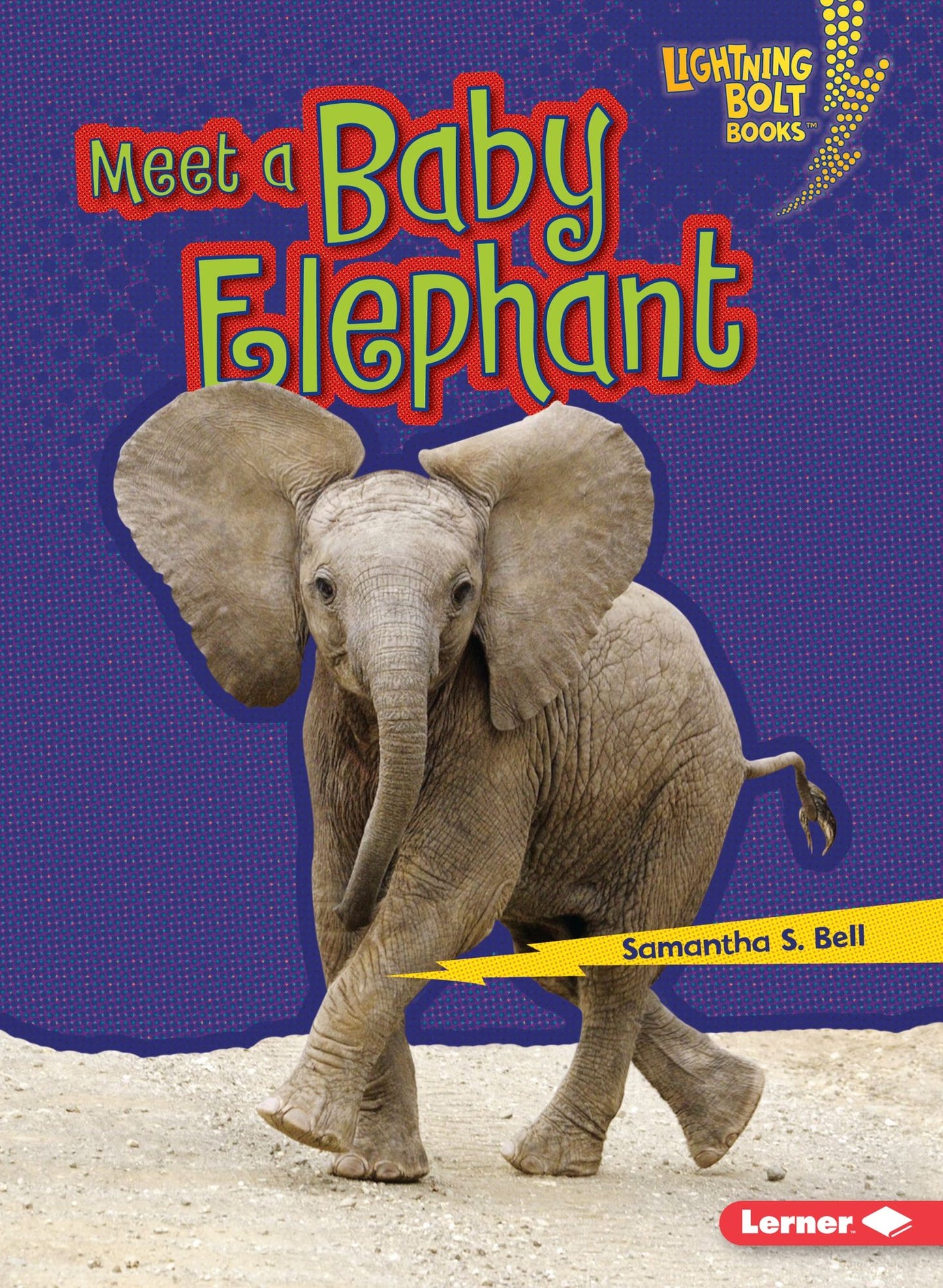 Meet a Baby Elephant