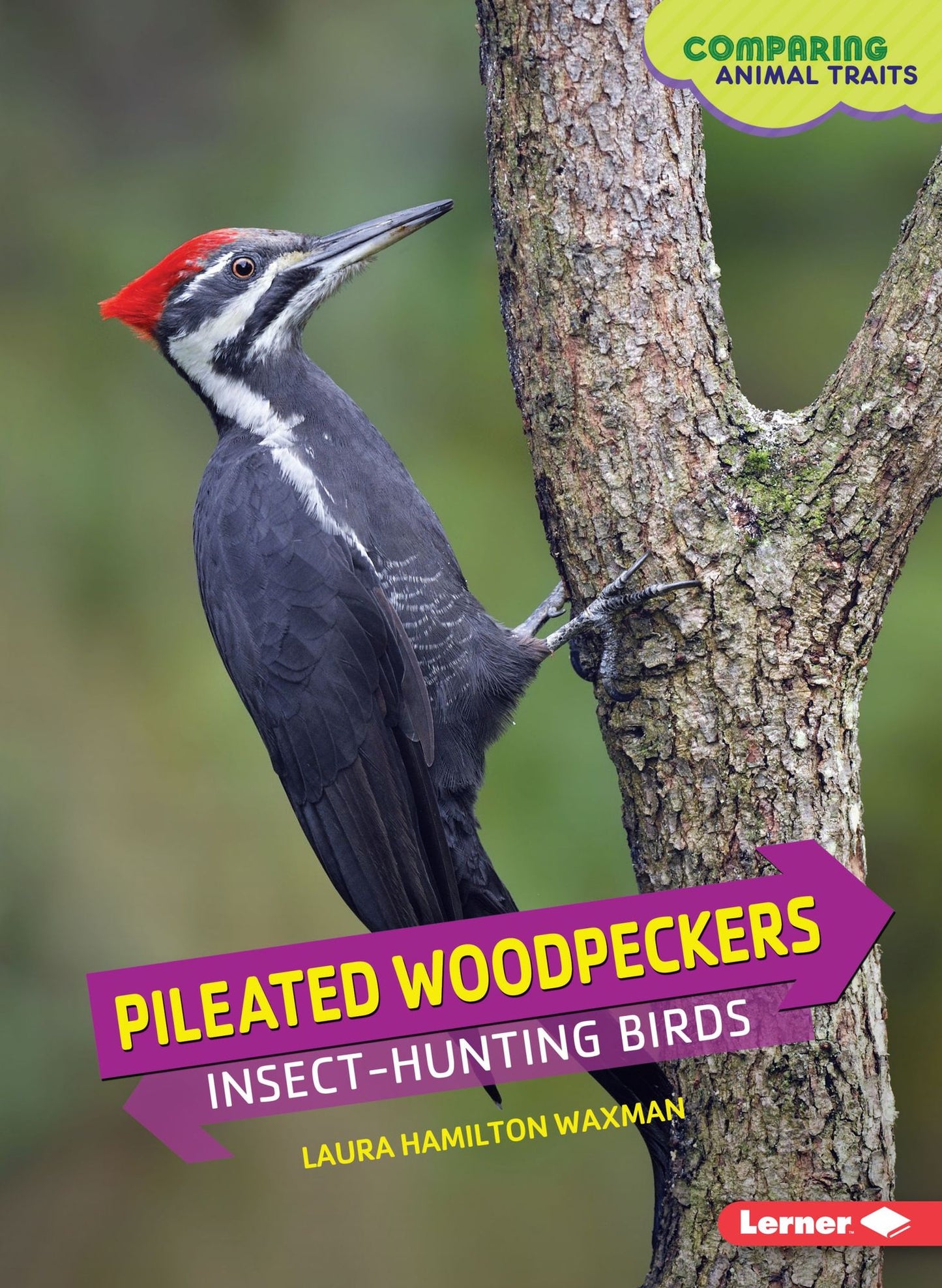 Pileated Woodpeckers