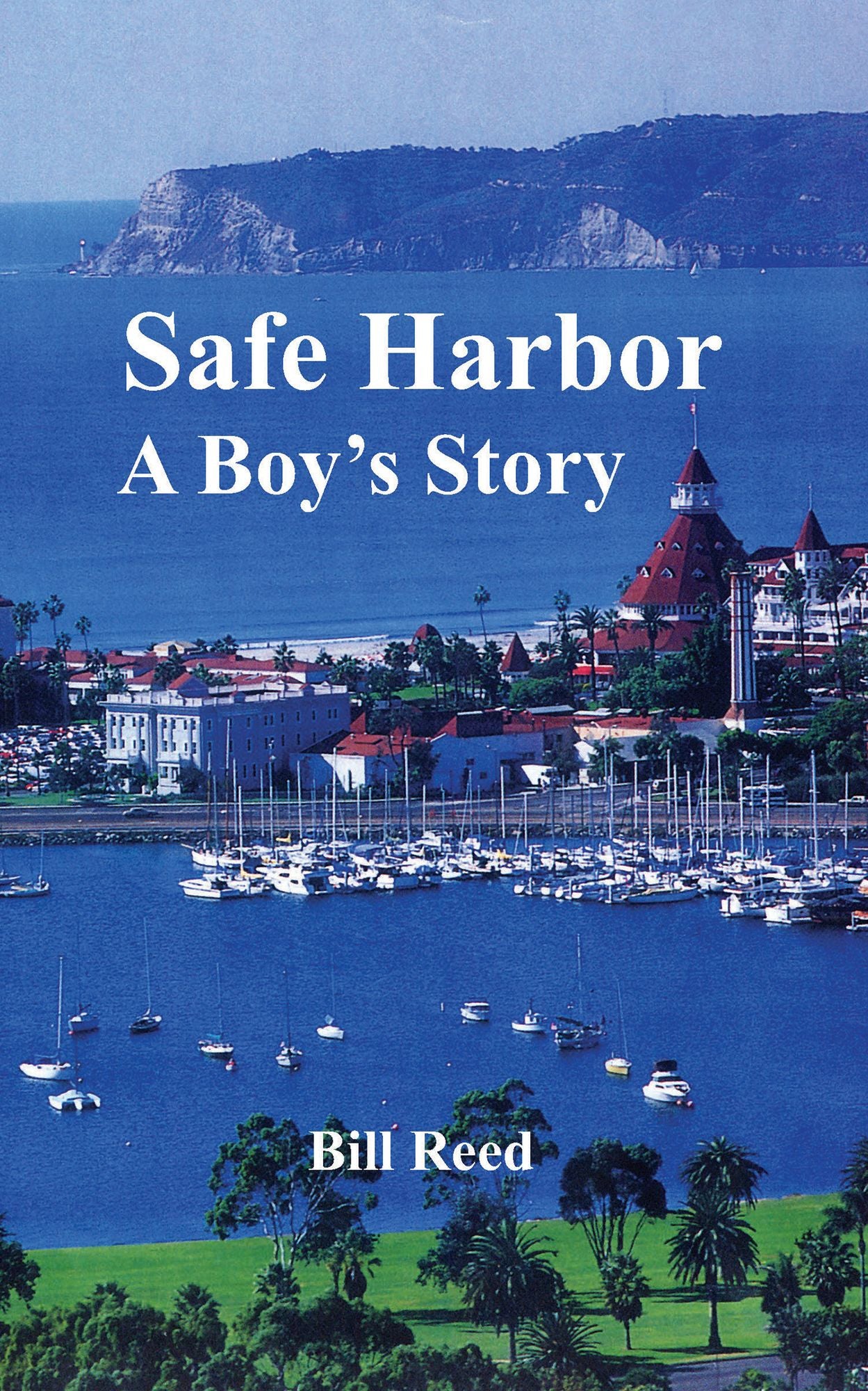 Safe Harbor: A Boy's Story
