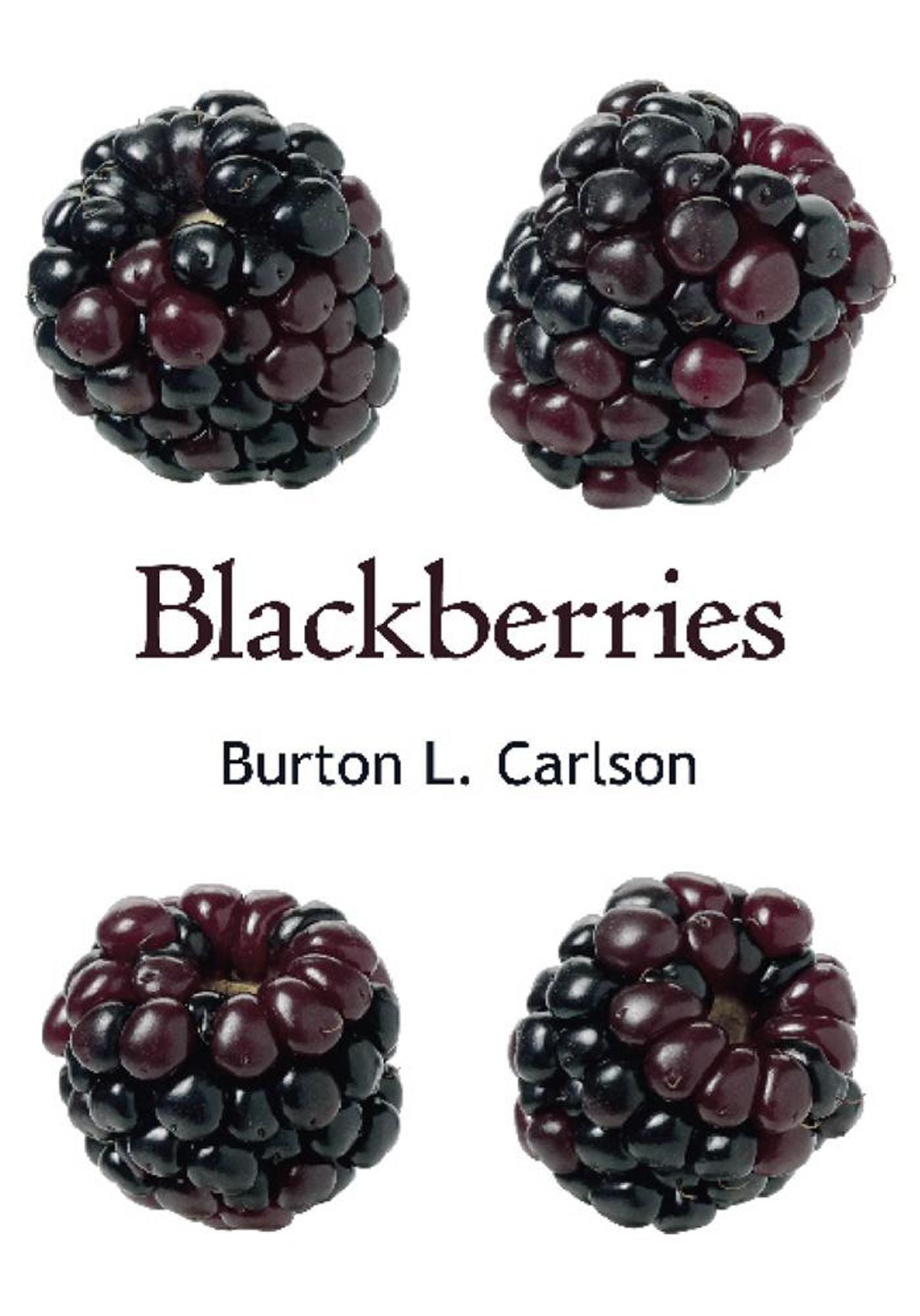 Blackberries