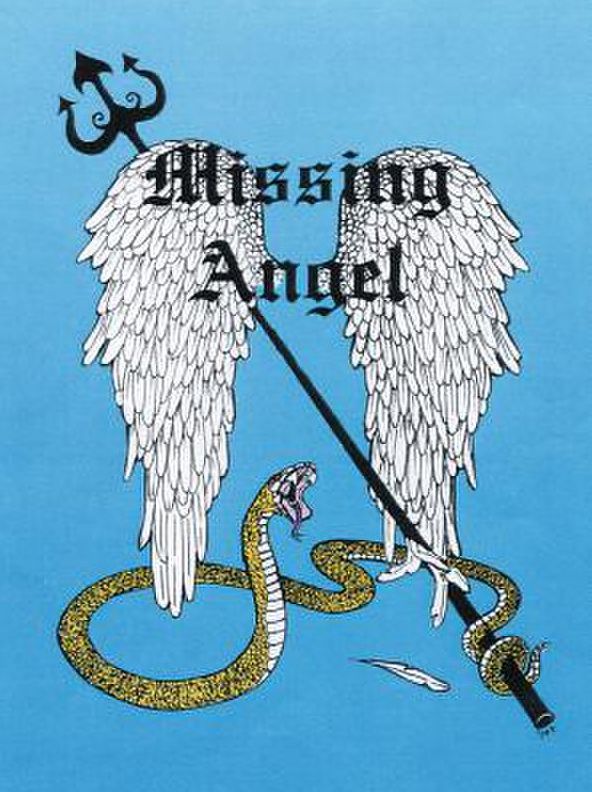 Missing Angel