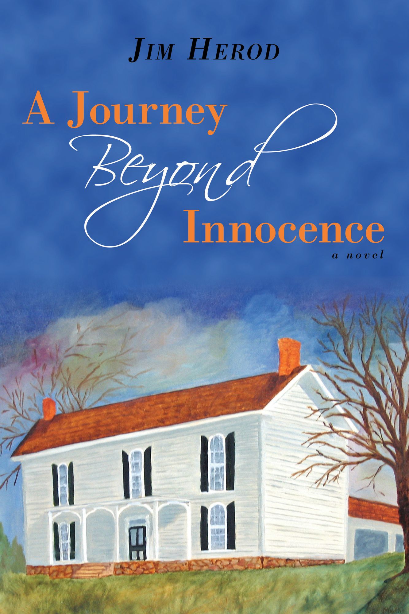 A Journey Beyond Innocence: a novel