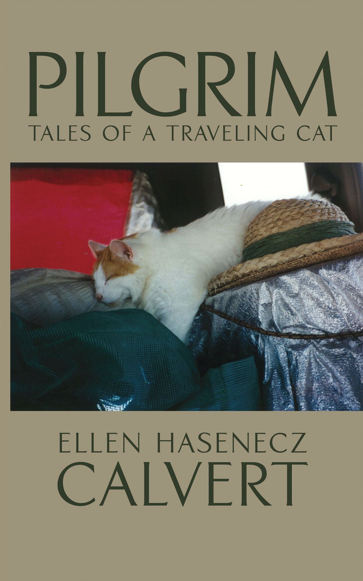 Pilgrim: Tales of a Traveling Cat