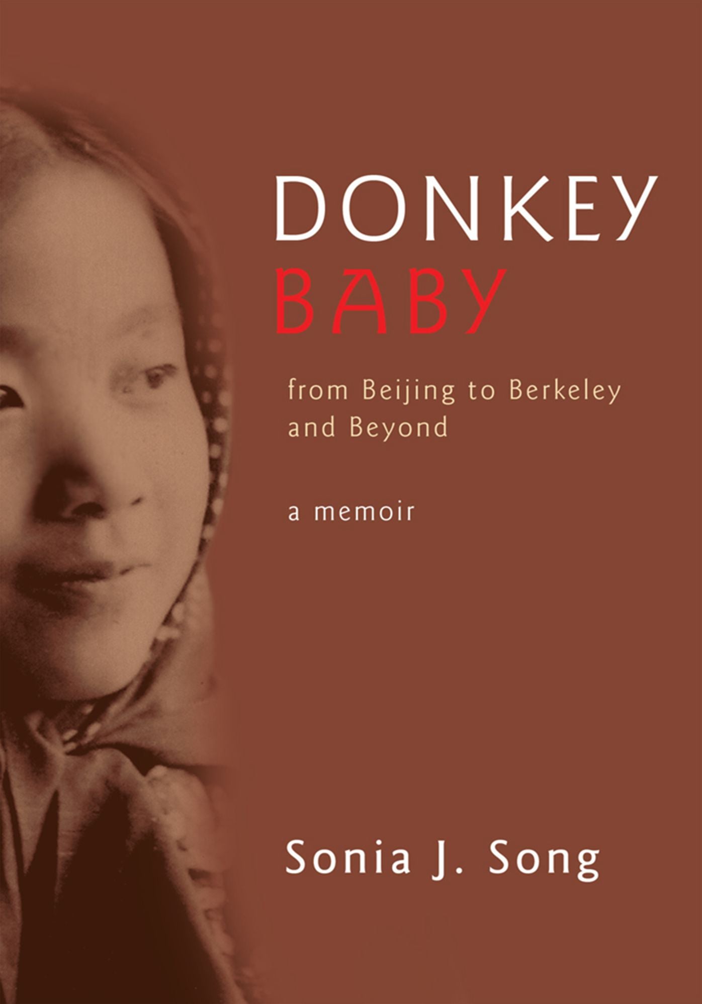 Donkey Baby: From Beijing to Berkeley and Beyond