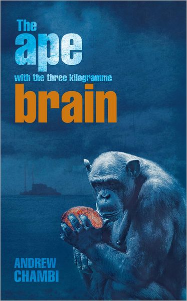 The ape with the three kilogramme brain