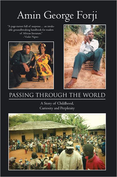 PASSING THROUGH THE WORLD: A Story of Childhood, Curiosity and Perplexity
