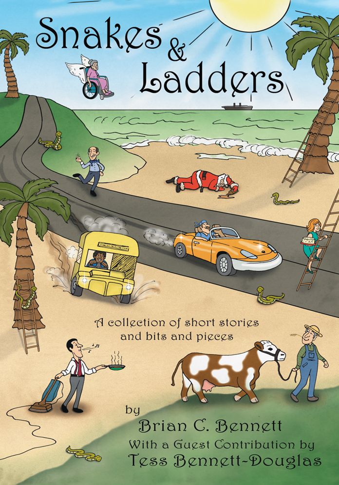 SNAKES & LADDERS: A collection of short stories and bits and pieces