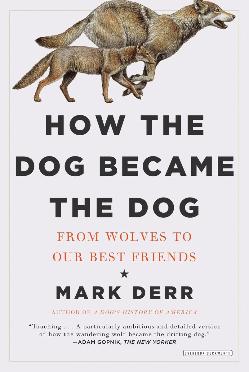 How the Dog Became the Dog: From Wolves to Our Best Friends