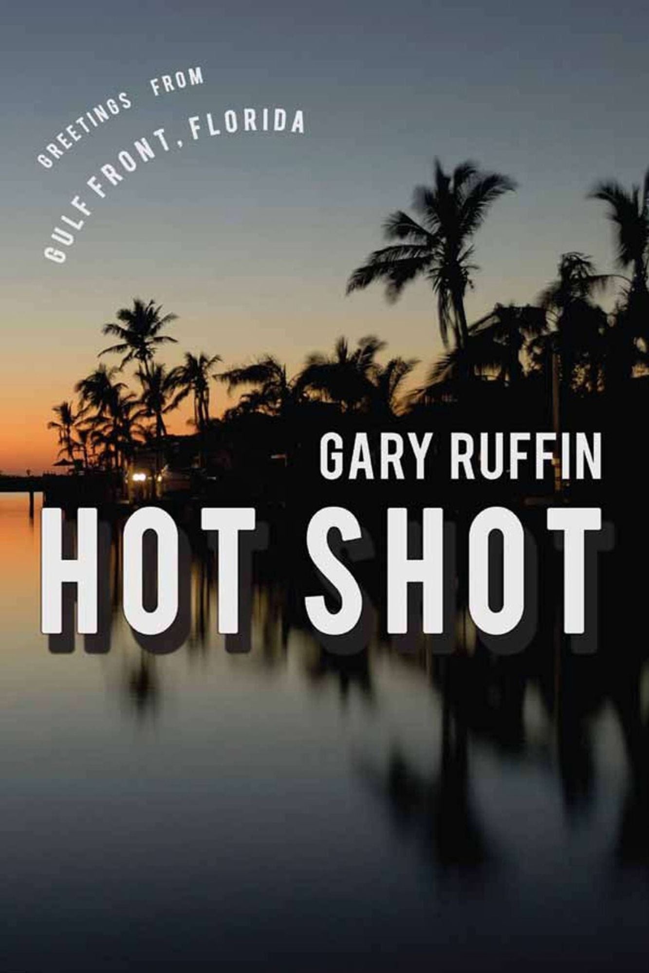 Hot Shot: A Novel