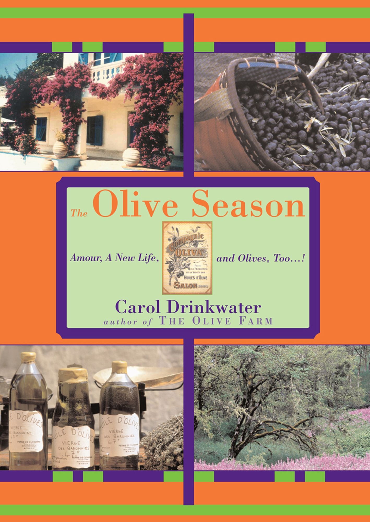 The Olive Season: Amour, A New Life, and Olives, Too . . . !