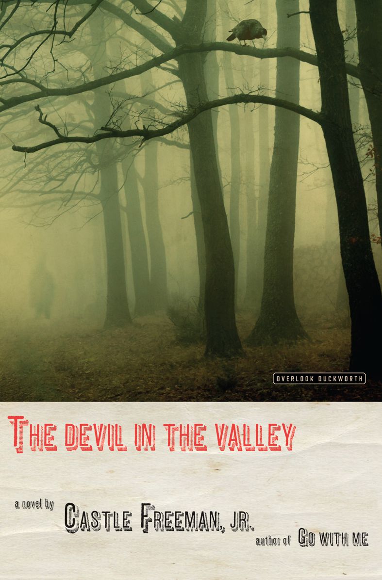 The Devil in the Valley: A Novel