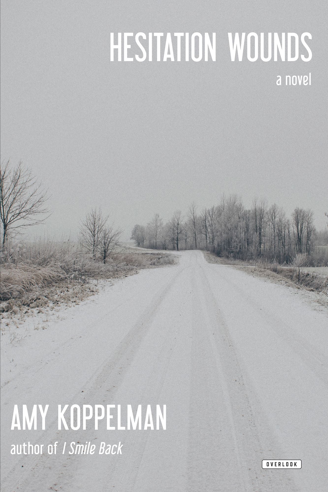 Hesitation Wounds: A Novel