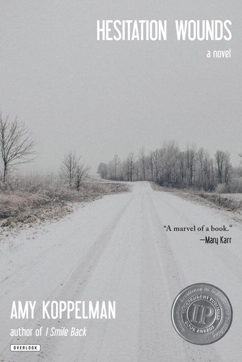 Hesitation Wounds: A Novel