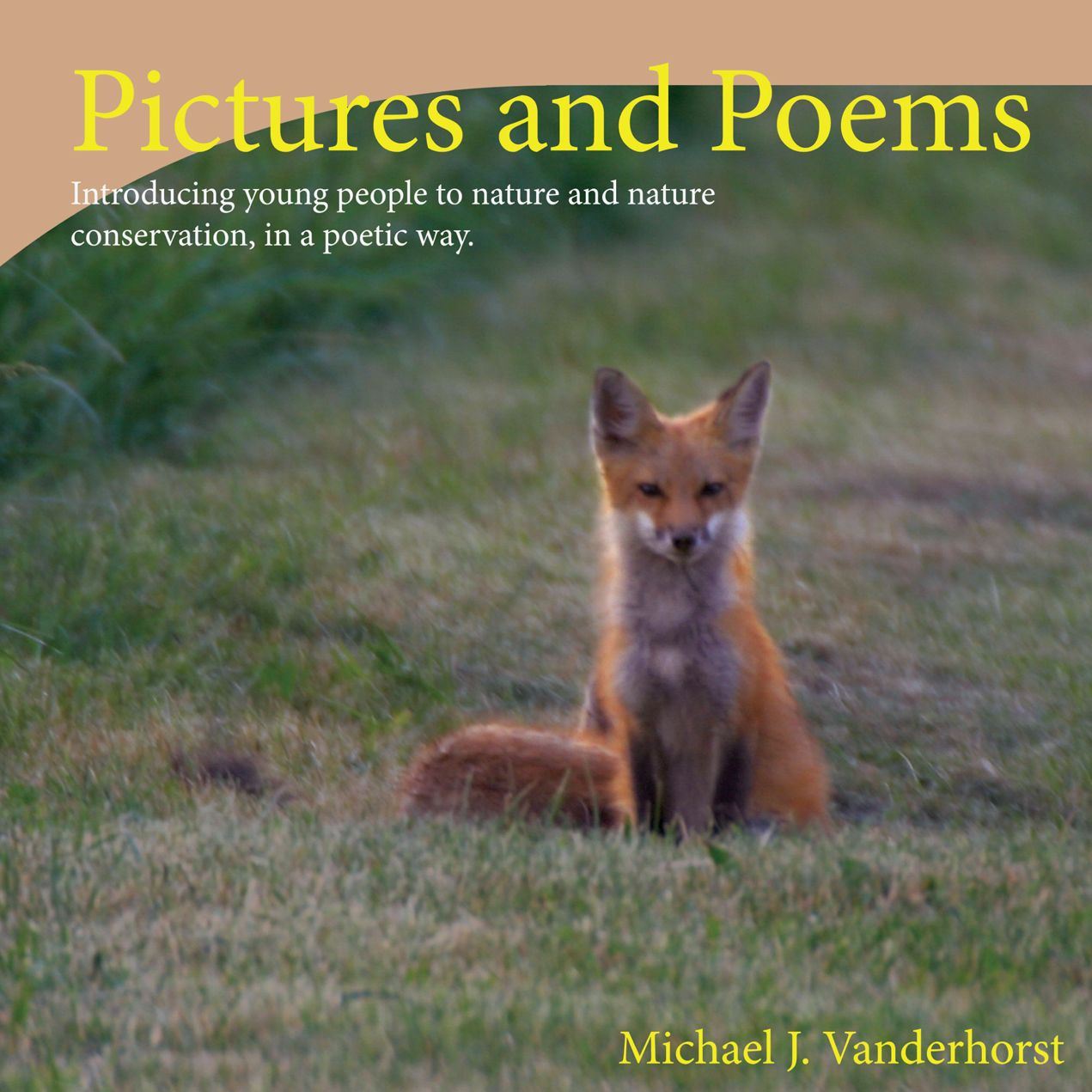 Pictures and Poems Book 2: Introducing young people to nature and nature conservation, in a poetic way.