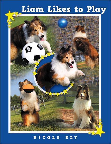 Liam Likes to Play (PagePerfect NOOK Book)