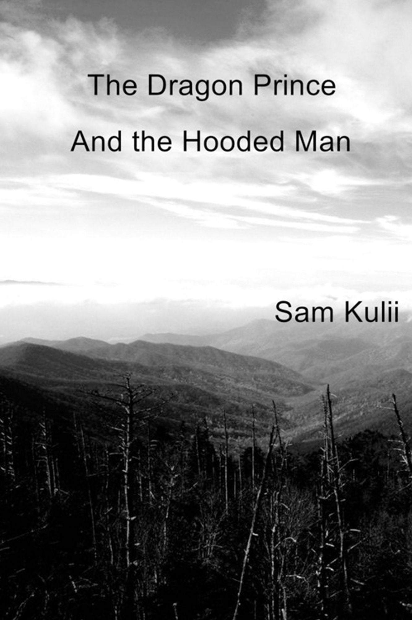 The Dragon Prince: And the Hooded Man