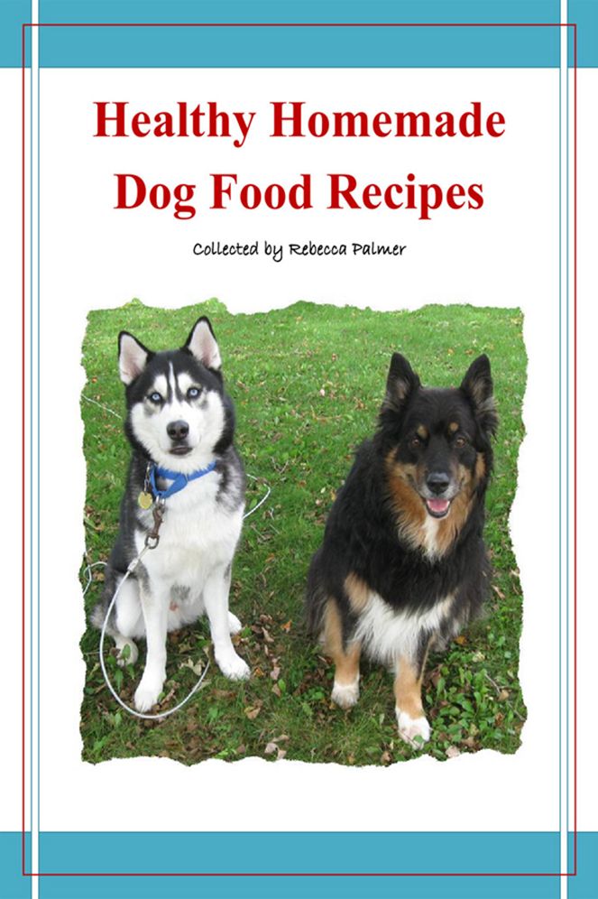 Healthy Homemade Dog Food Recipes