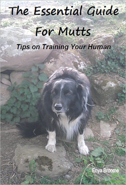 The Essential Guide for Mutts: Tips On Training Your Human