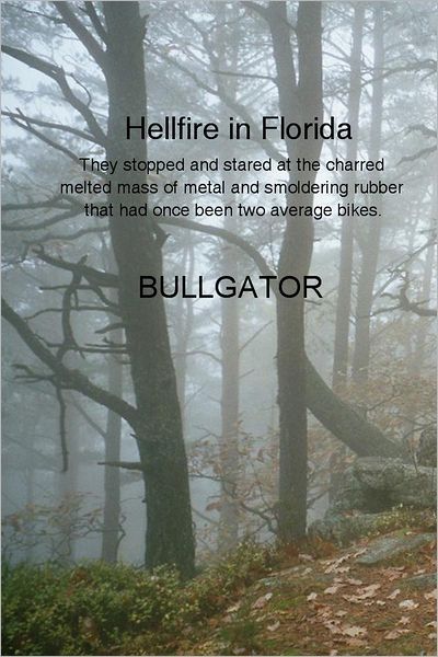 Hellfire in Florida: They stopped and stared at the charred melted mass of metal and smoldering rubber that had once been two average bikes.
