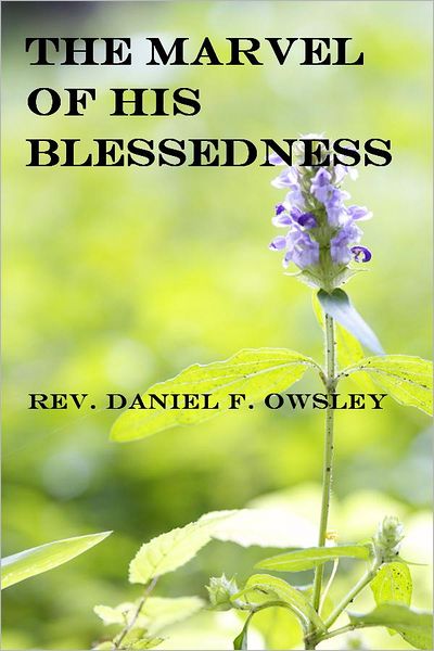 The Marvel of His Blessedness