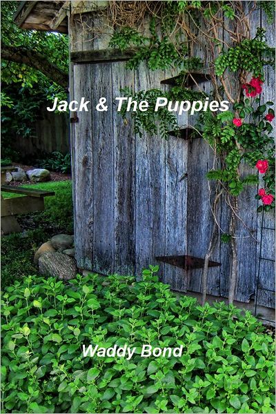 Jack & The Puppies
