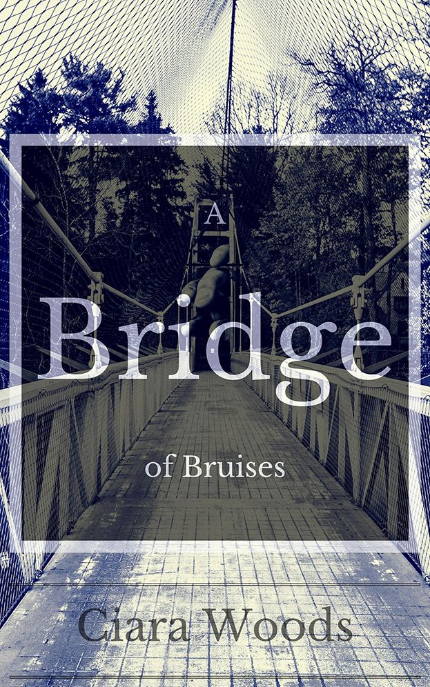 A Bridge of Bruises