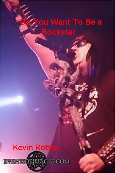 So You Want To Be a Rockstar